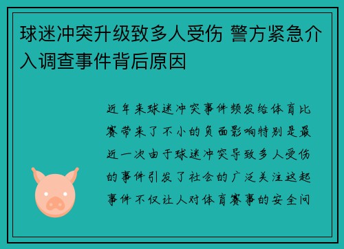球迷冲突升级致多人受伤 警方紧急介入调查事件背后原因
