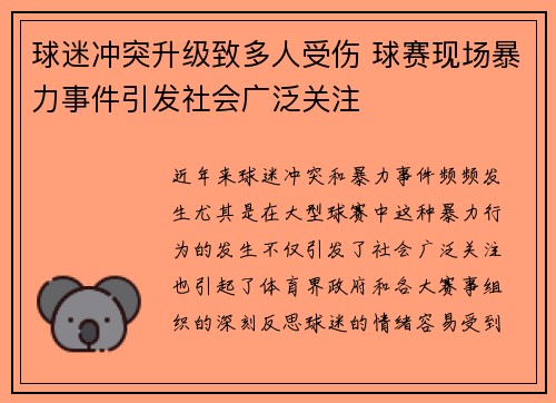 球迷冲突升级致多人受伤 球赛现场暴力事件引发社会广泛关注